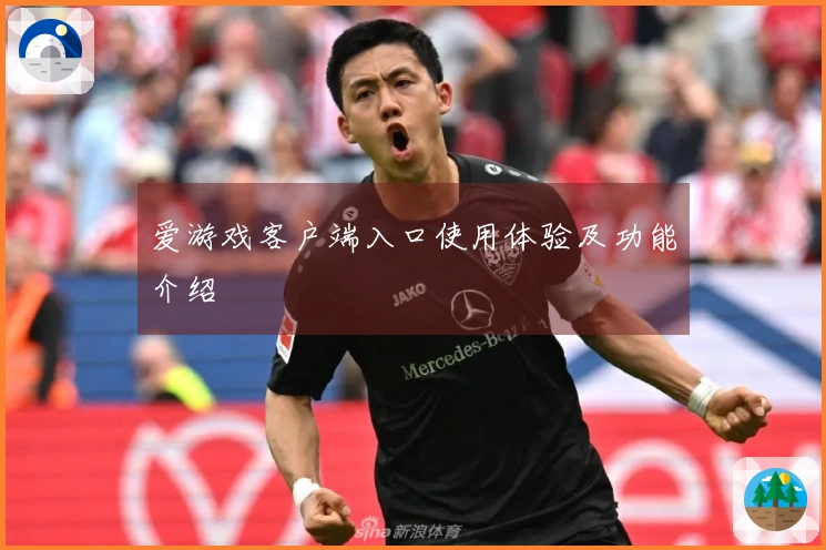 爱游戏客户端入口使用体验及功能介绍
