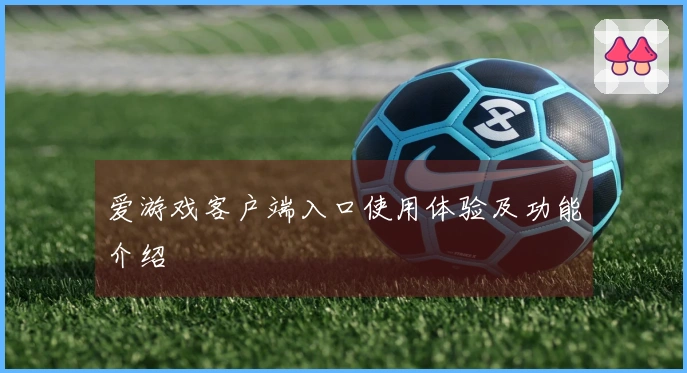 爱游戏客户端入口使用体验及功能介绍