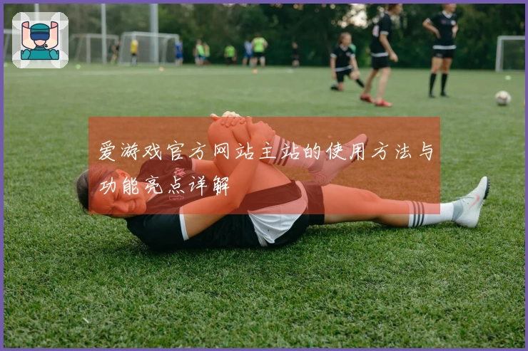 爱游戏官方网站主站的使用方法与功能亮点详解